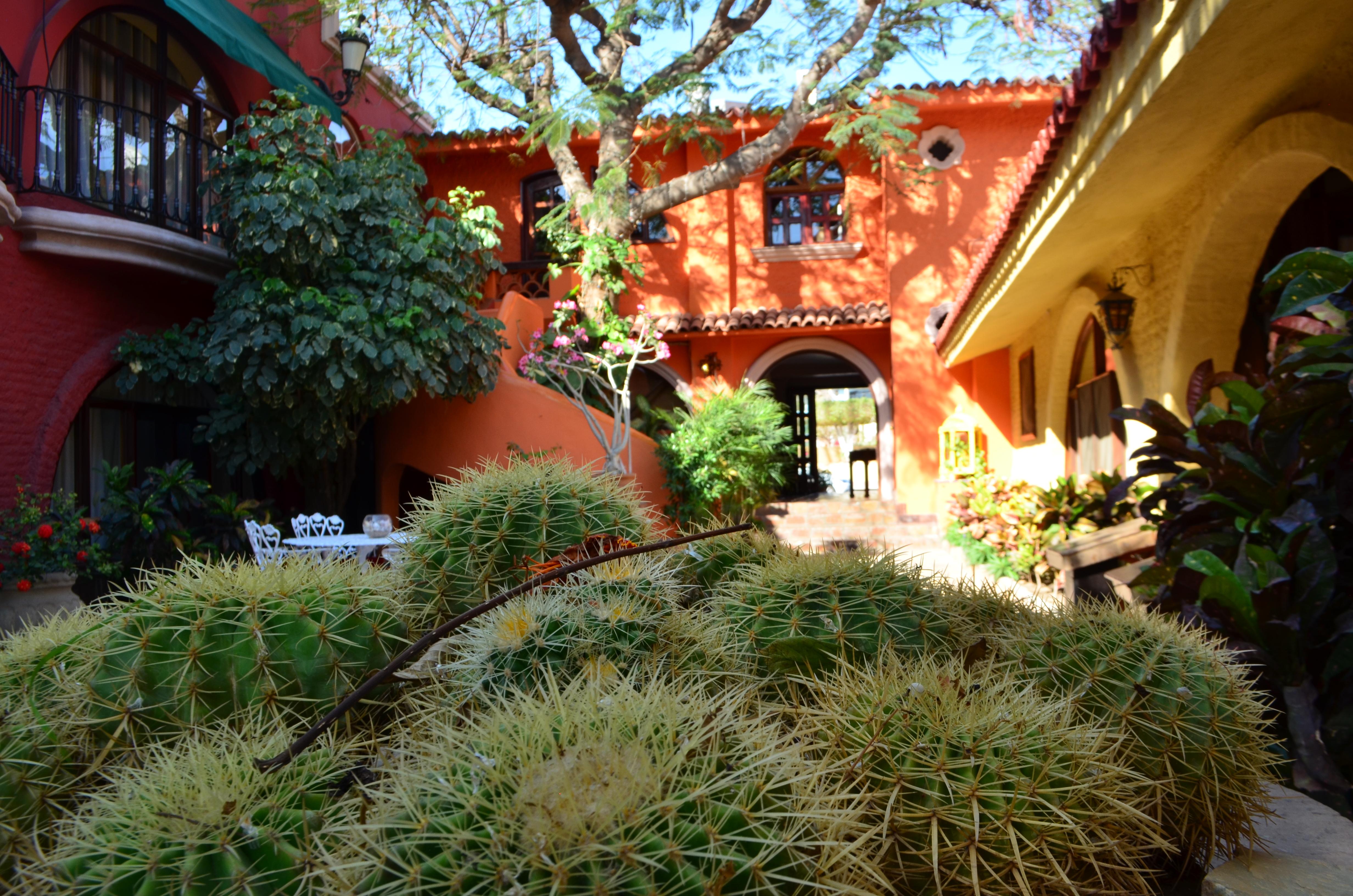 Collection O Casa Bella Hotel Boutique, Cabo San Lucas Ngoại thất bức ảnh