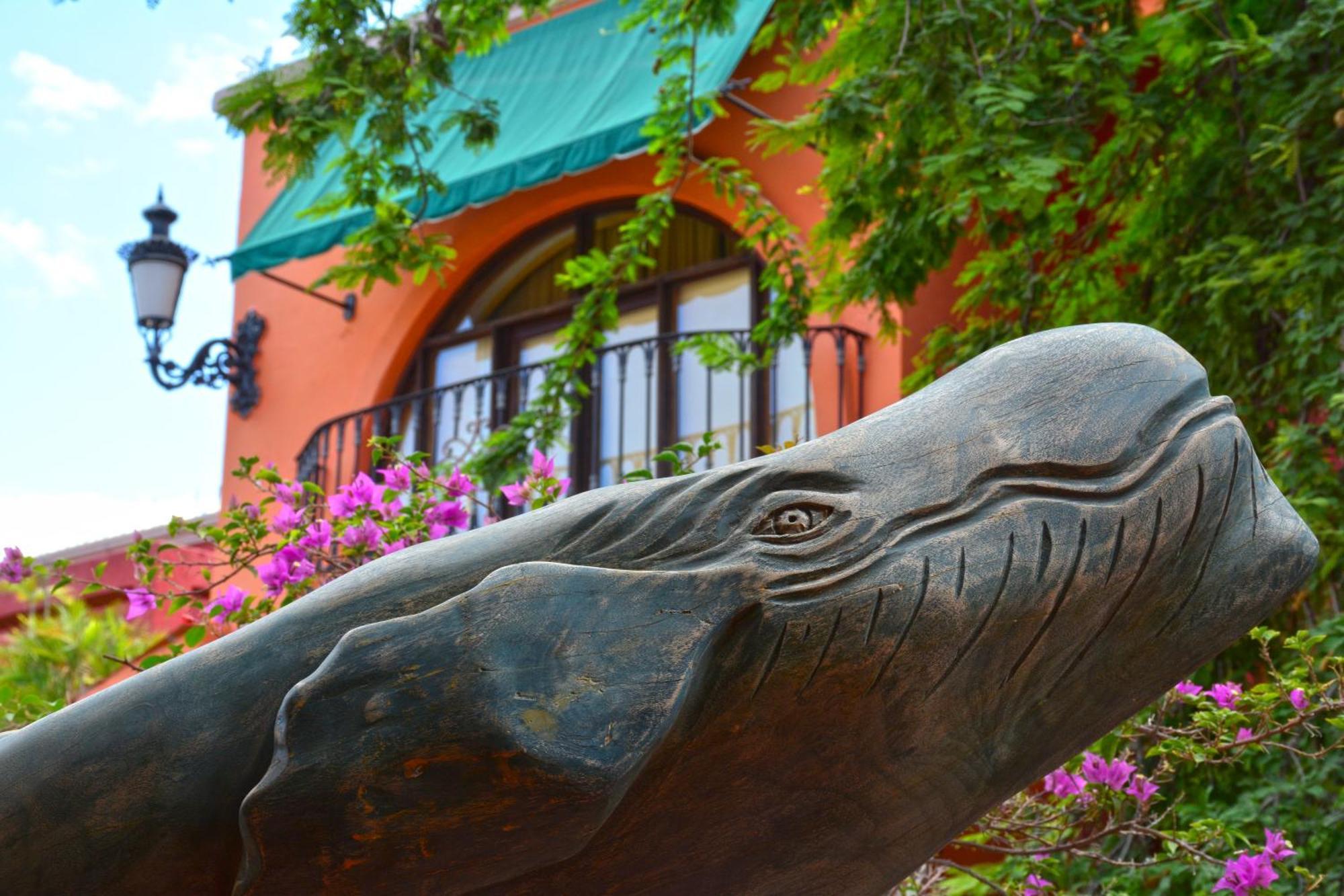 Collection O Casa Bella Hotel Boutique, Cabo San Lucas Ngoại thất bức ảnh