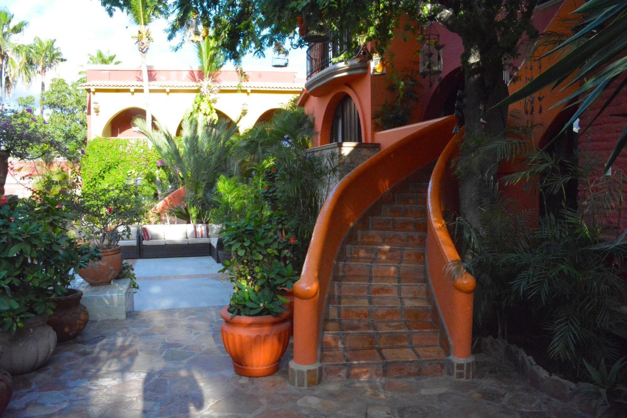 Collection O Casa Bella Hotel Boutique, Cabo San Lucas Ngoại thất bức ảnh